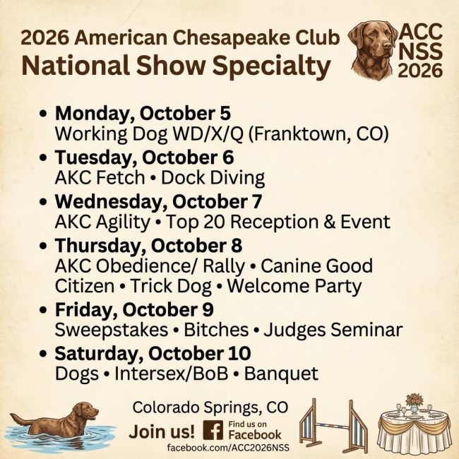 26 NSS Schedule at a glance